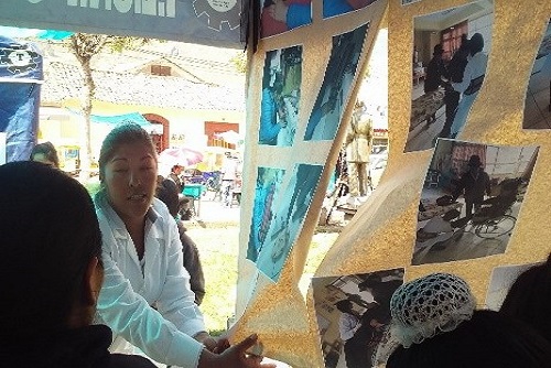 FERIS EXPOSITIVA